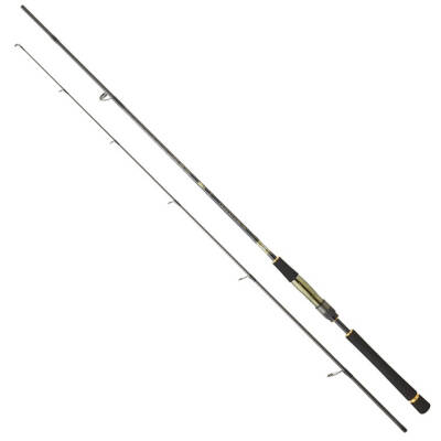 DAIWA CROSSCAST S DF 2.44M, 10-35GR 2P SPIN KAMIŞ - 1