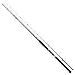 DAIWA DRAGGER SX 3.05M, LURE MAX 100GR, JIG MAX 130 GR, 2P SHORE JIG KAMIŞ - Daiwa