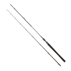 DAIWA EXCELER CASTING 2.24M, 28-84GR, 2P KAMIŞ - Daiwa