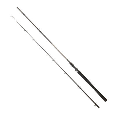 DAIWA EXCELER CASTING 2.24M, 28-84GR, 2P KAMIŞ - 1