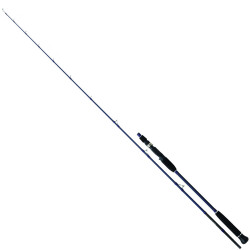 Daiwa Exceler Oceano 193cm MAX180 Olta Kamışı - Daiwa