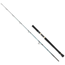 Daiwa Grandwave 168cm 100-300gr Olta Kamışı - Daiwa