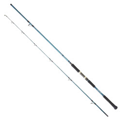 Daiwa Grandwave 2.90M 28-84gr 2P Shore Jig Olta Kamışı - Daiwa
