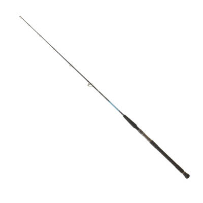 DAIWA HARRIER JIGGING 1.91M TEK PARÇA 90-210GR JIG KAMIŞ - 1
