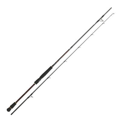 DAIWA INFEET SEABASS 3.05M, 14-56GR, 2P KAMIŞ - 1