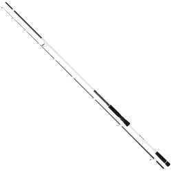 Daiwa Infeet Seabass II 272cm 14-42gr Seabass Kamış - Daiwa