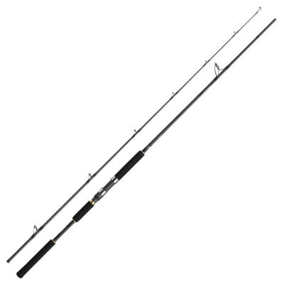 Daiwa Jig Caster MX 96MH 290cm Jig Kamışı - 1