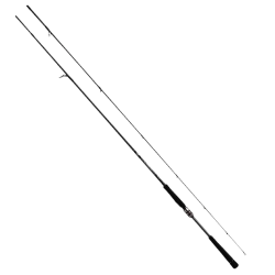 Daiwa Labrax AGS 2.74m, 7-35gr&Daiwa Caldia 25 FC LT 4000 C Spin Seti - 3