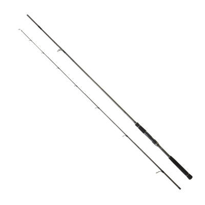 Daiwa Labrax AGS 2.89m 10-50 gr 2P Spin Olta Kamışı - 1