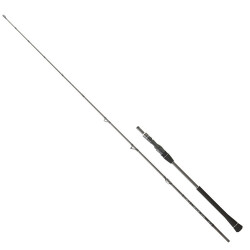DAIWA LEGALIS O BF JG 1.91M 60-120GR 1+1 JIG KAMIŞ - Daiwa