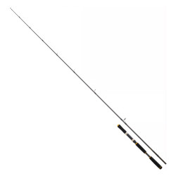 Daiwa Legalis Seabass 2.21m 28-84gr 1+1 Kamış - Daiwa