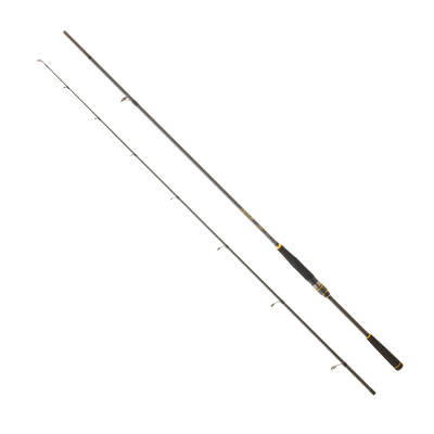 DAIWA LEGALIS SEABASS BF 2.44M, 7-28GR, 2P KAMIŞ - 1
