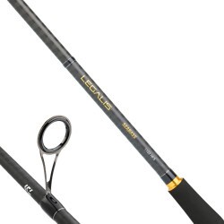 DAIWA LEGALIS SEABASS BF 2.59M, 10-35GR, 2P KAMIŞ - 2