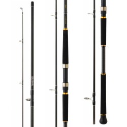Daiwa Legalis Shore Jigging 320cm 28-84gr Olta Kamışı - 2