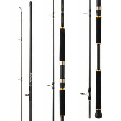 Daiwa Legalis Shore Jigging 320cm 28-84gr Olta Kamışı - 2