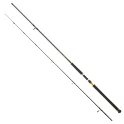 DAIWA LEGALIS SJ CF 2.90M 28-84GR 2P SHORE JIG KAMIŞ - Daiwa