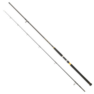 DAIWA LEGALIS SJ CF 2.90M 28-84GR 2P SHORE JIG KAMIŞ - 1
