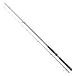 Daiwa New Bg Seabass 2.44m 7-28gr 2p Spin Olta Kamışı - Daiwa