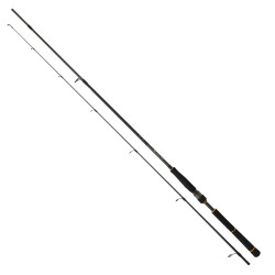 Daiwa New Bg Seabass 2.50m, 10-35gr 2p Spin Olta Kamışı - Daiwa