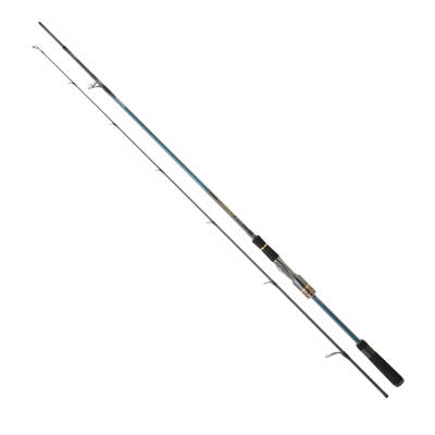 DAIWA NEW TOURNAMENT SW AGS 2.44M, 14-42GR, 2P KAMIŞ - 1