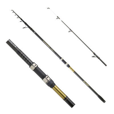 DAIWA POWERMESH CF 4.20M, 100-250GR, TELE SURF KAMIŞ - 1