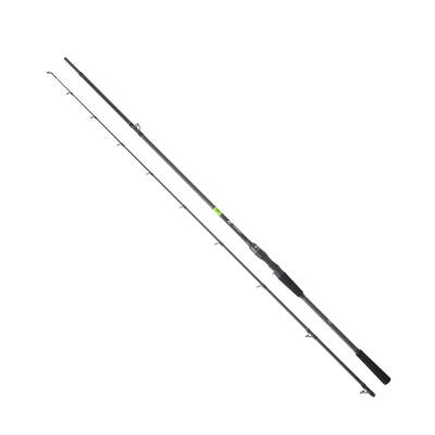 DAIWA PROREX E CASTING 1.98M, 60-120GR, 2P KAMIŞ - 1