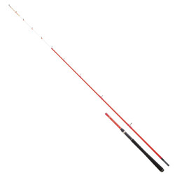 Daiwa S. Palangrotte 1.80m 20-100gr 2P Bot Kamış - Daiwa