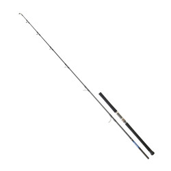 DAIWA SALTIGA GT CF 2.59M, 100-180GR, 1+1P JIG KAMIŞ - 1