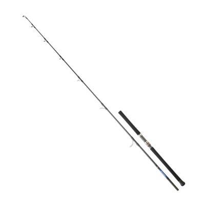 DAIWA SALTIGA GT CF 2.59M, 100-180GR, 1+1P JIG KAMIŞ - 1