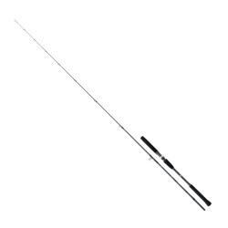 Daiwa Saltist Jigging 1.91m 90-210 gr 2P Jig Olta Kamışı - Daiwa