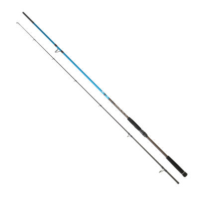 DAIWA SPITFIRE SEABASS CF 2.74M, 10-35GR 2P SPIN KAMIŞ - 1