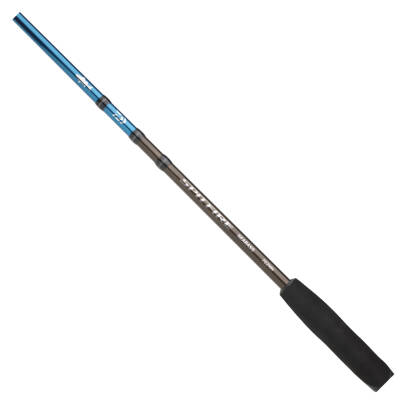 DAIWA SPITFIRE SEABASS CF 2.74M, 10-35GR 2P SPIN KAMIŞ - 2