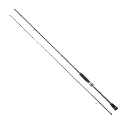 DAIWA SPITFIRE SQUID 2.51M, 5-21GR 2P KAMIŞ - 1