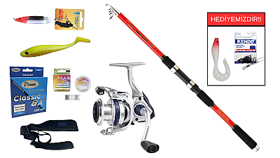 Daiwa Sweepfire Mini 2.70m 15-50gr&Okuma ARIA-C4000a Painting Silver 1BB Teleskopik Spin Seti - 1