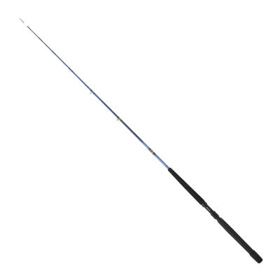 Daiwa Tanacom 2.00m 250-1000gr 2P Bot Kamışı - 1