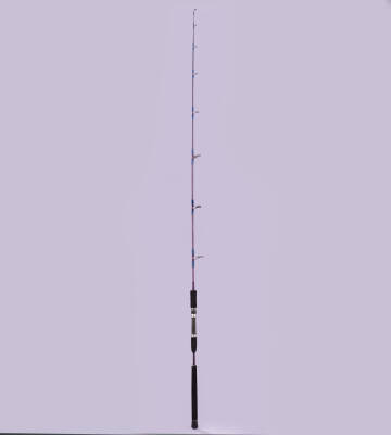 DCR PİRİ REİS JIG VE CANLI YEM KAMIŞI 185 CM 150-350 MOR - 11