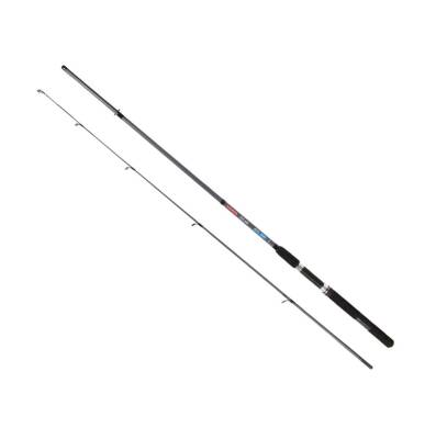 Ecotackle Pure Spin 10-30G 2P Spin Olta Kamışı - 1