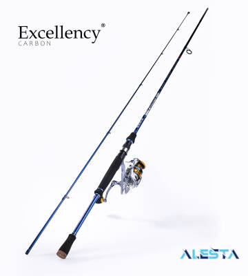 EXCELLENCY 210 CM 1-10G LF 2P KARBON - 1