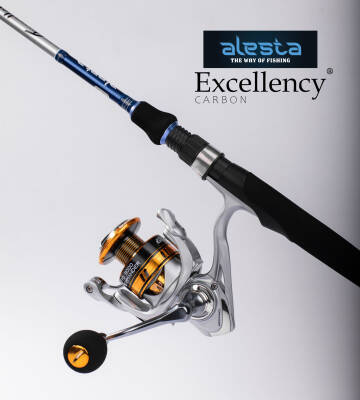 EXCELLENCY 210 CM 1-10G LF 2P KARBON - 4