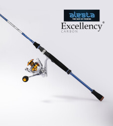 EXCELLENCY 270 CM 15-40G MHF 2P KARBON - 3