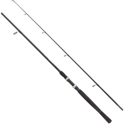 Fladen Charter Spin Kamış 2p - FLADEN