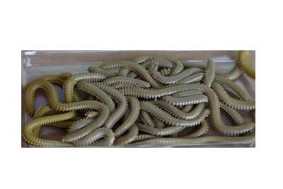 Fladen Vermz Kum Solucan, 8.5 cm 20P - 16