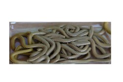 Fladen Vermz Kum Solucan, 8.5 cm 20P - 8