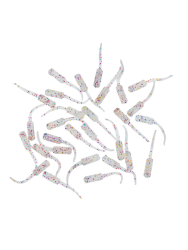 Fujin Baby FRY 2cm LRF Silikon Yem - 13