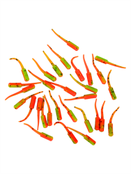 Fujin Baby FRY 2cm LRF Silikon Yem - 14