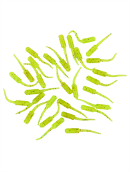 Fujin Baby FRY 2cm LRF Silikon Yem - 16