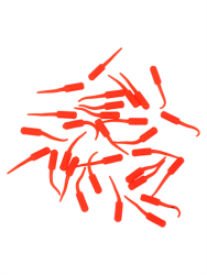 Fujin Baby FRY 2cm LRF Silikon Yem - 17