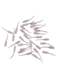 Fujin Baby FRY 2cm LRF Silikon Yem - 18