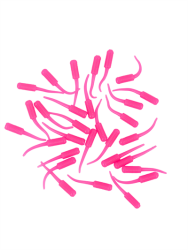 Fujin Baby FRY 2cm LRF Silikon Yem - 19