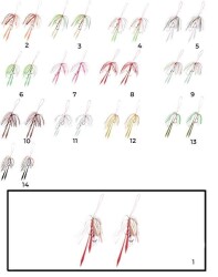 Hayabusa SE 125 Tai Rubber Free Slide Yedek Etekli Assist İğne Set - 5
